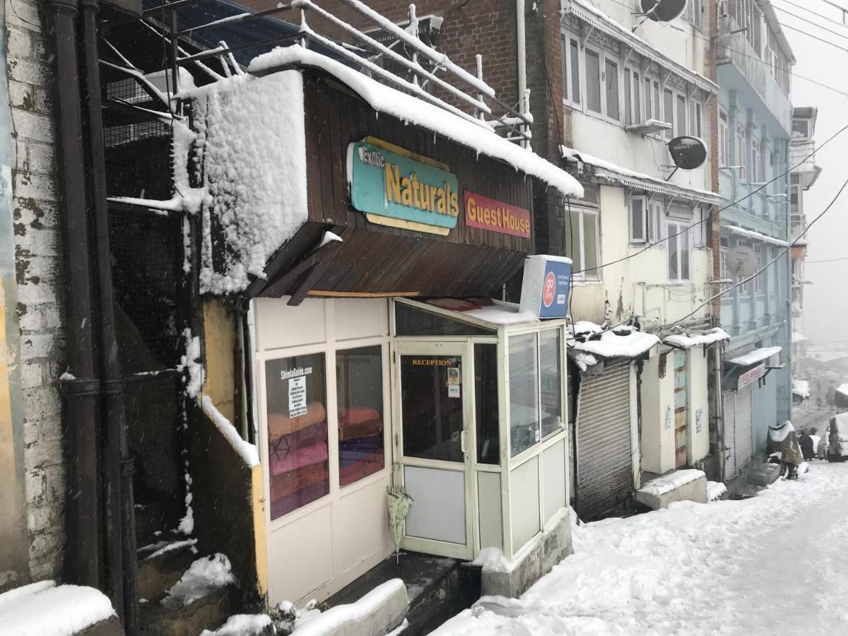Exotic Naturals Guest House Shimla Exterior photo